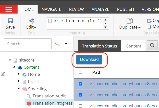 Bulk download.png