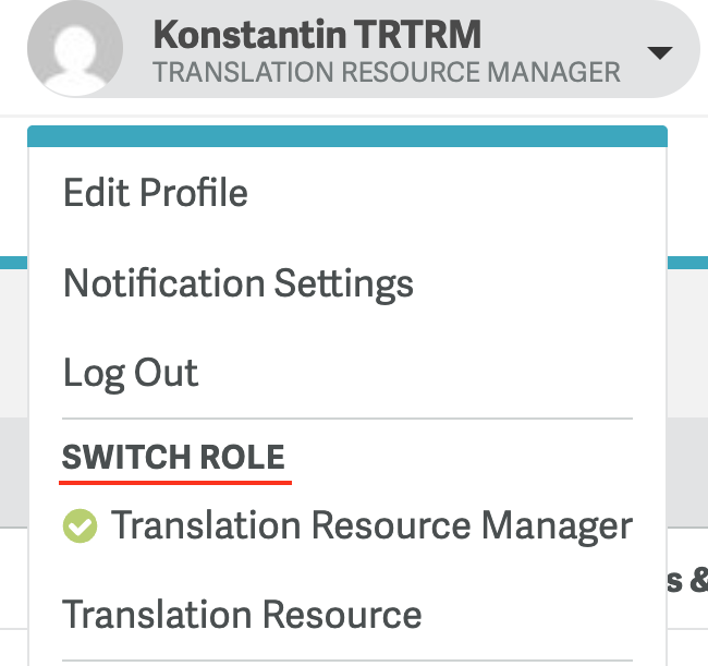 role-switcher.png
